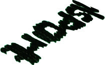 TEAM PRO ESSENTIAL STUTZENSTRUMPF