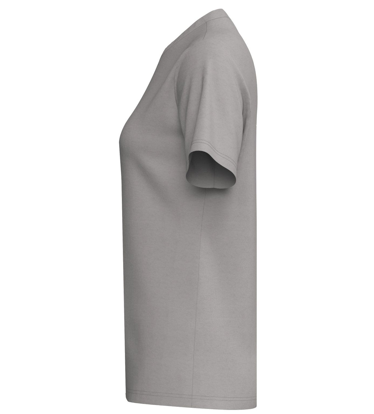 TS T-Shirt - taupe/taupe