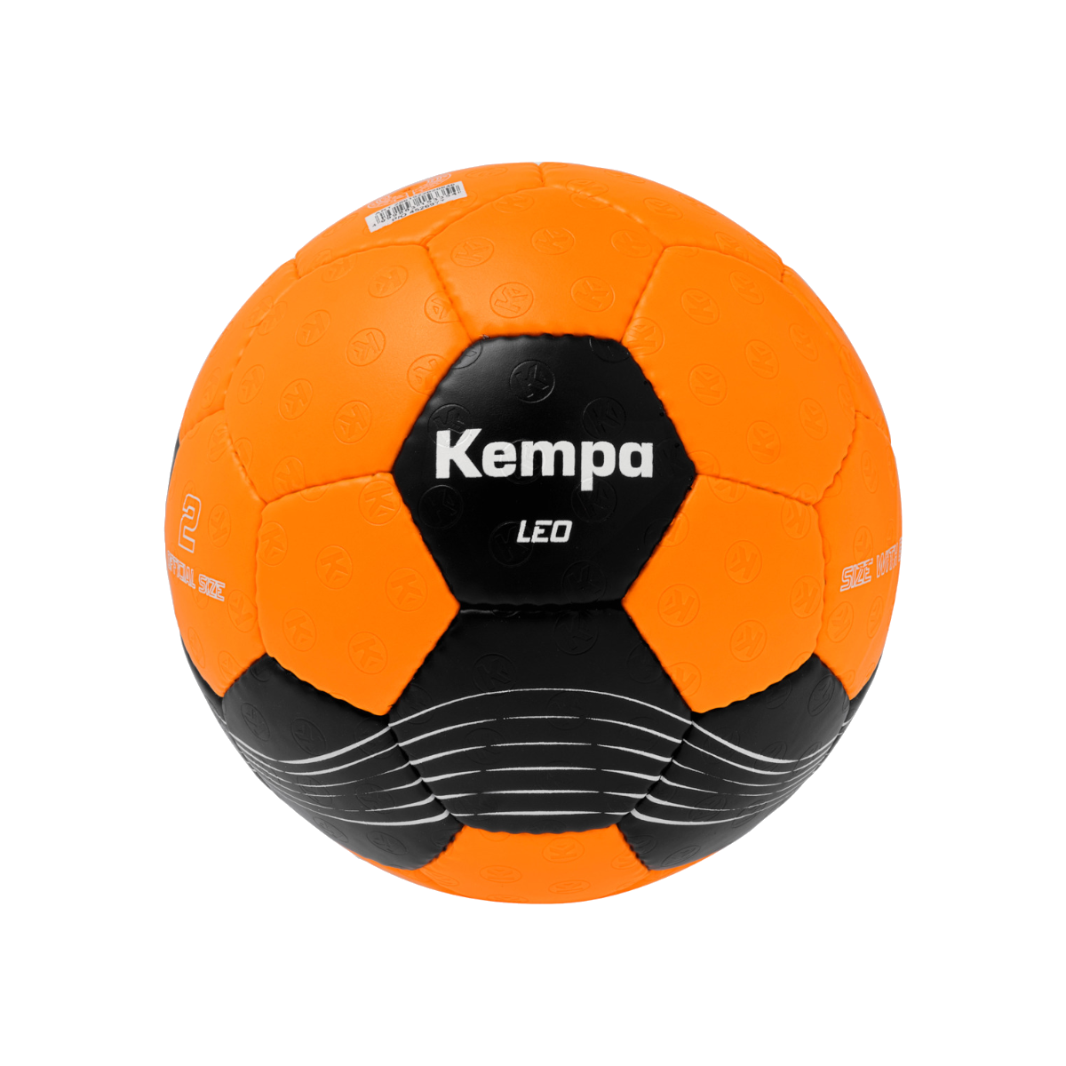 Handball Leo SG Remstal