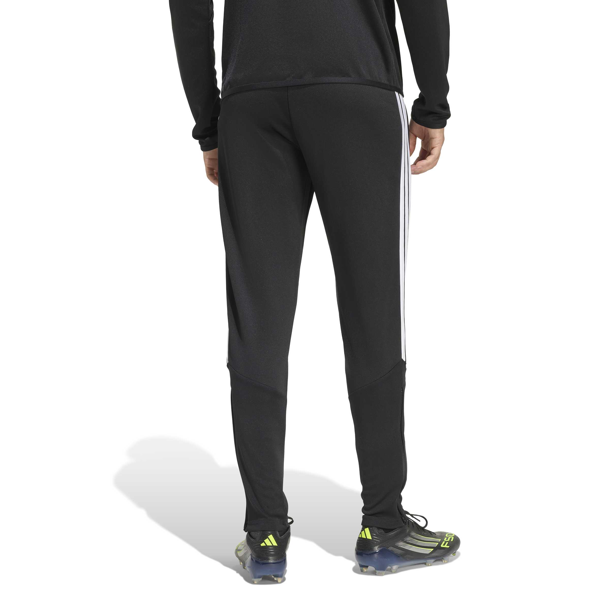 TIRO26L TRPNTS - 095A/BLACK/PURPUR