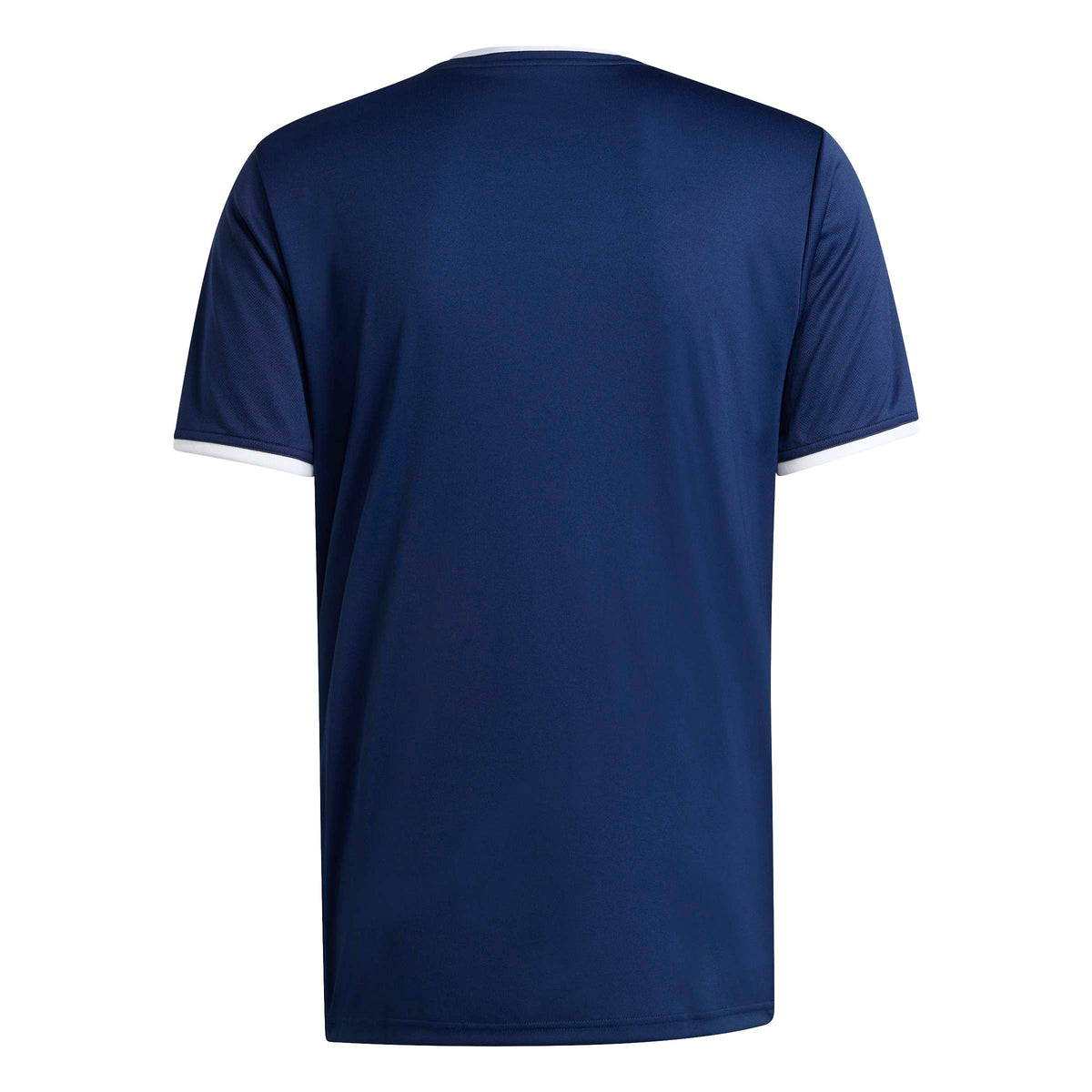 ENT26 JSY - AEQ1/TENABL/WHITE