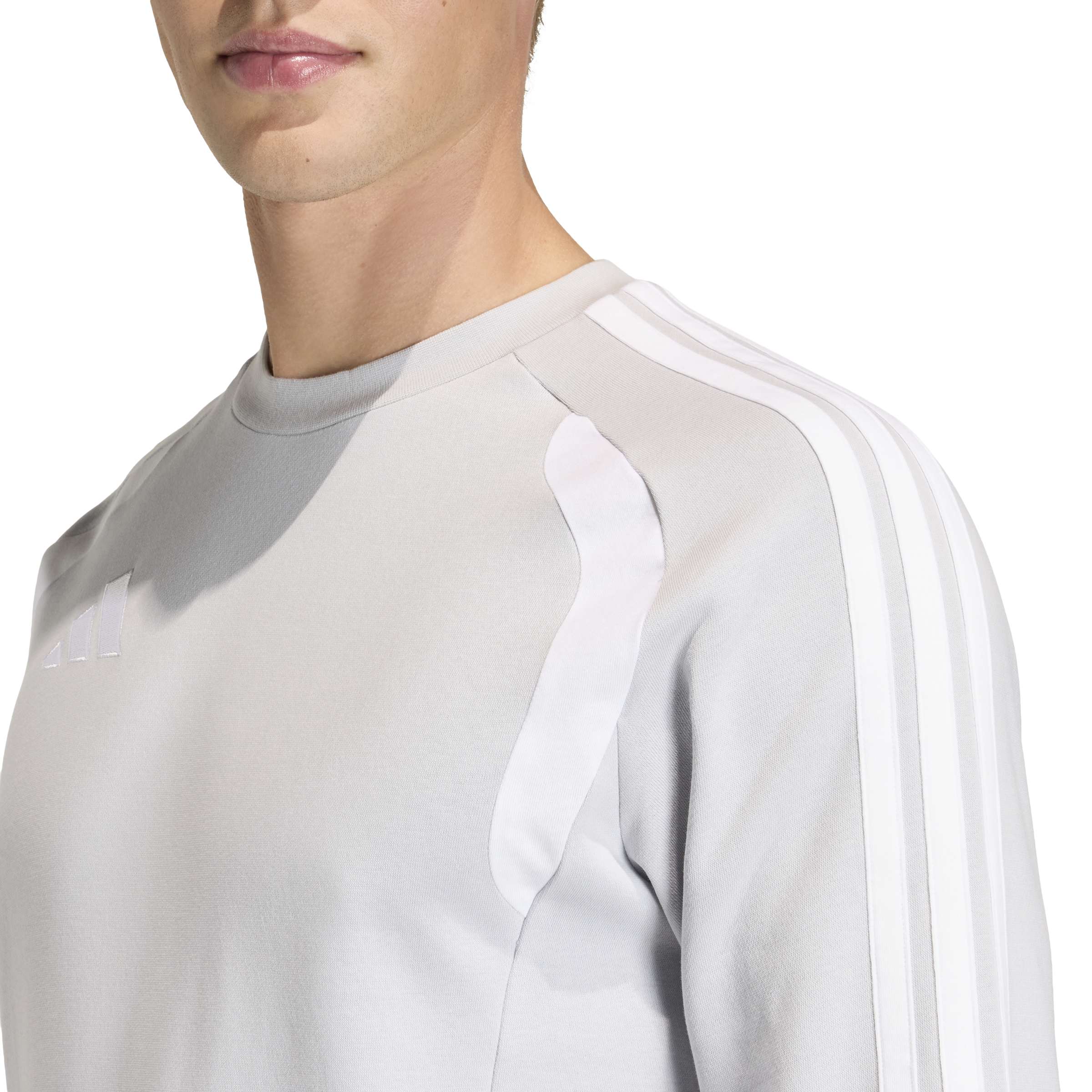 TIRO26L SW CREW - ADFE/TMLGGR/WHITE