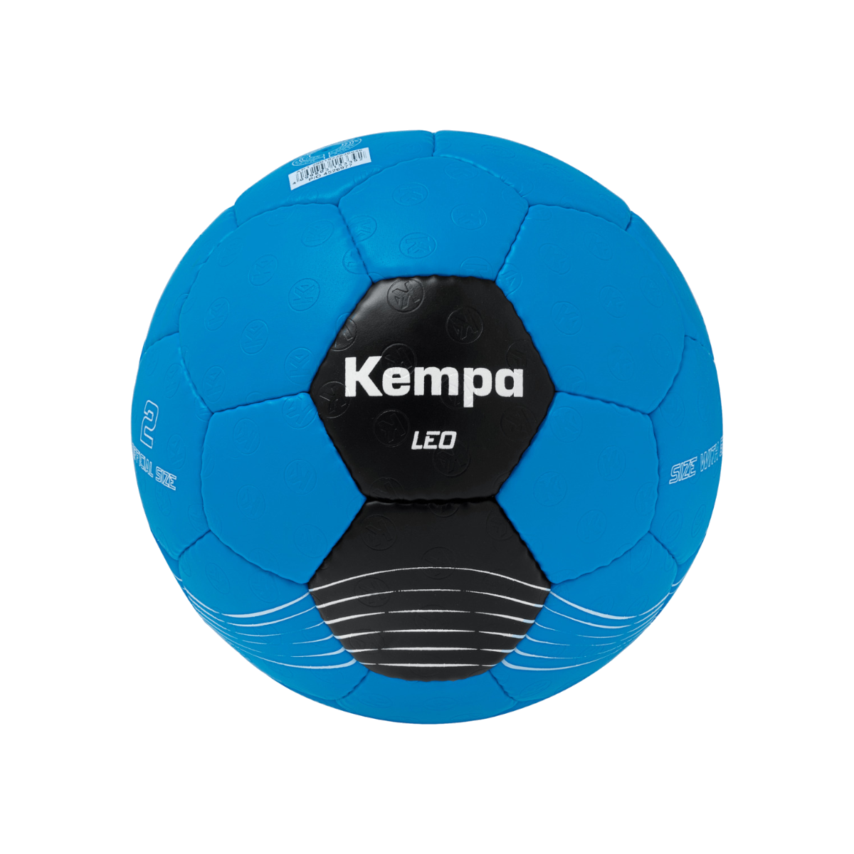 Handball Leo SV Remshalden