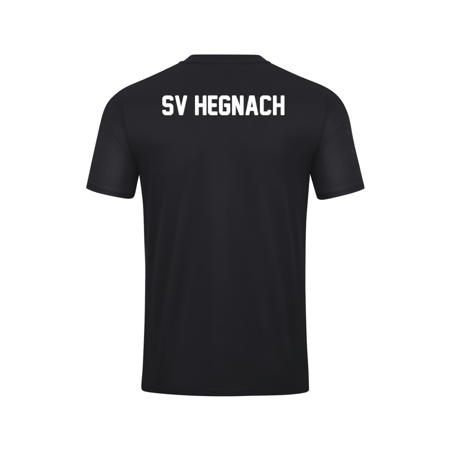 Polyester T-Shirt SV Hegnach Trainer