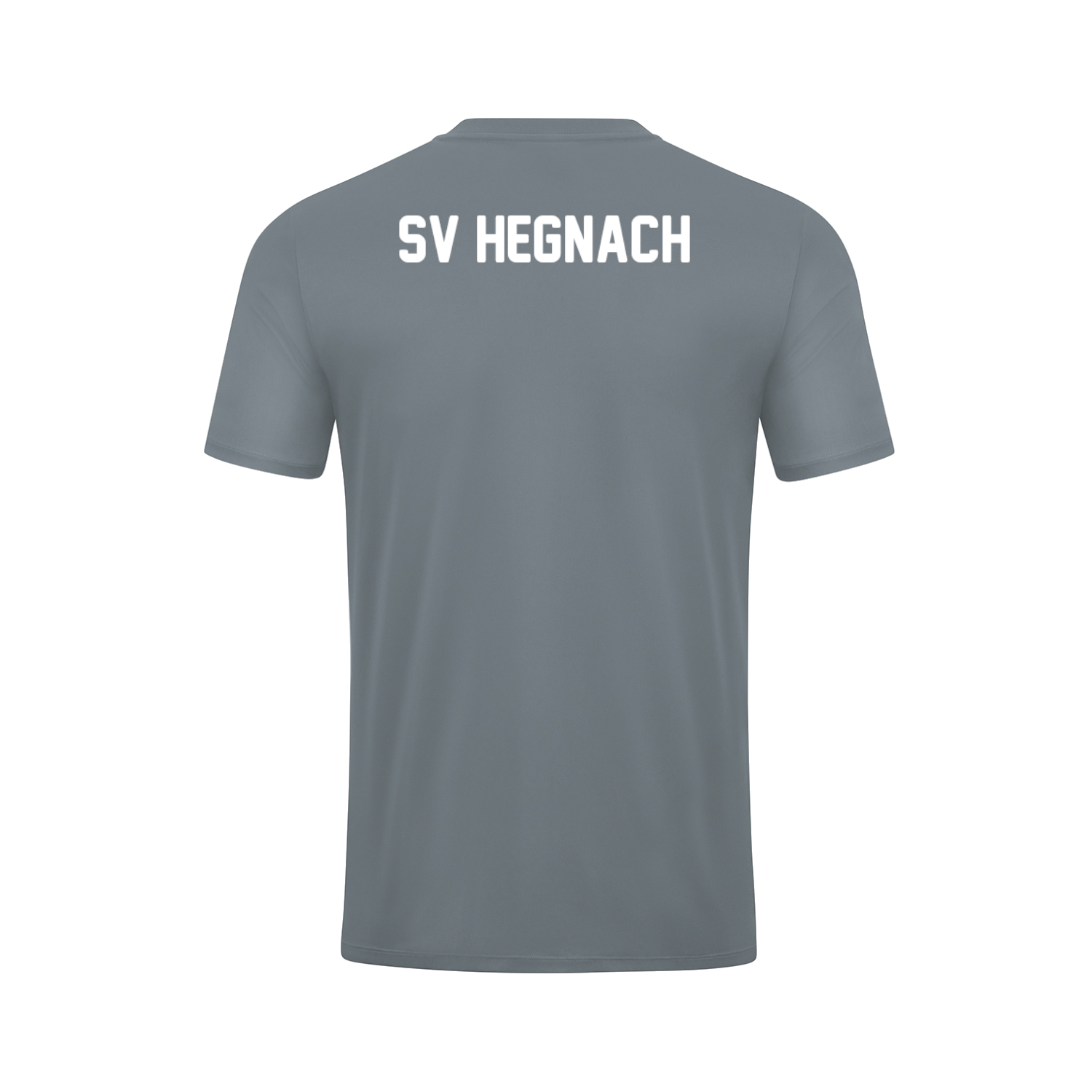 Shirt SV Hegnach Jugend