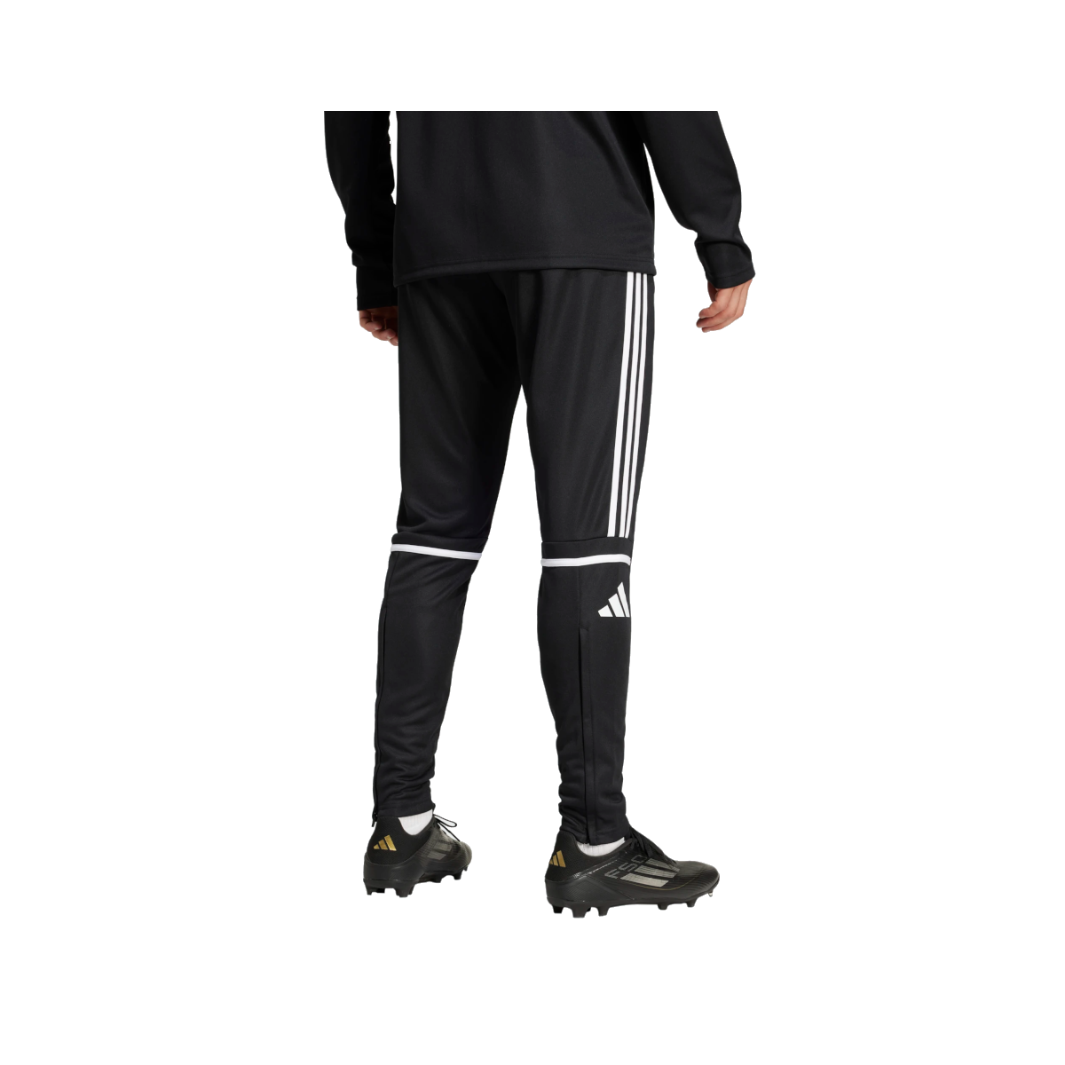 Adidas Squad 25 Trainingshose TSV Waldhausen