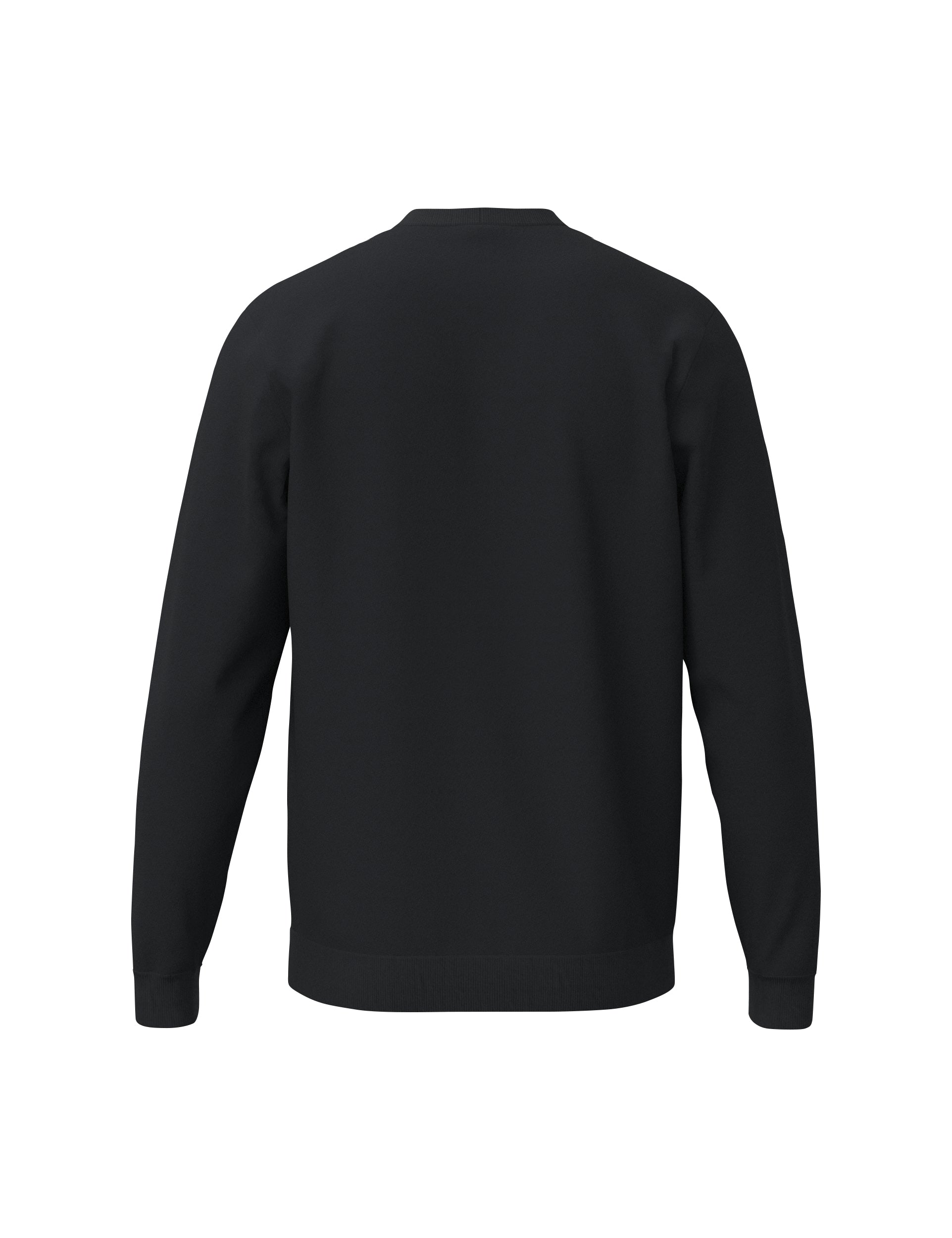 CMPT 3 Wings Sweatshirt