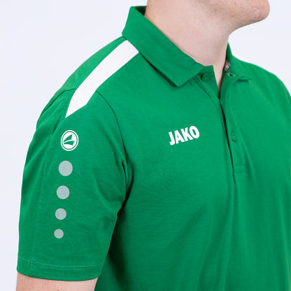 Polo Power