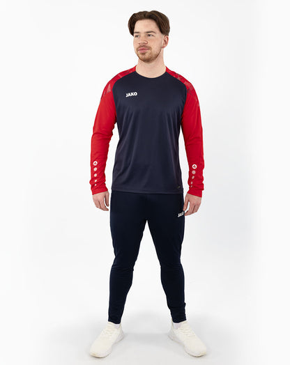 Longsleeve Sonic