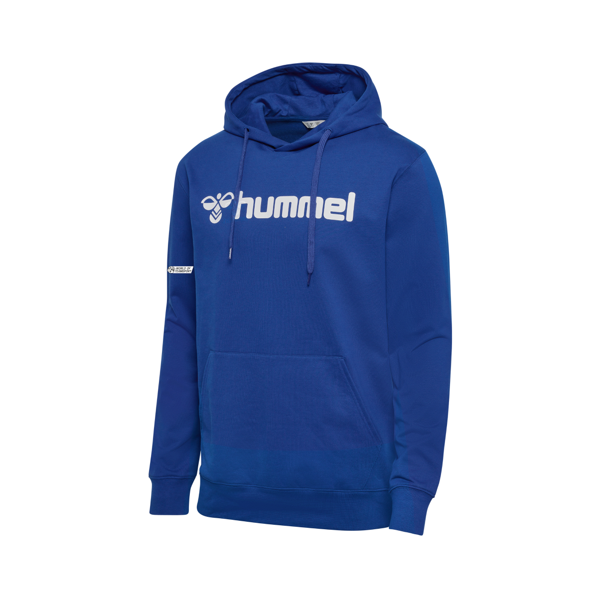 hmlGO 2.0 LOGO HOODIE TV Stetten Handball
