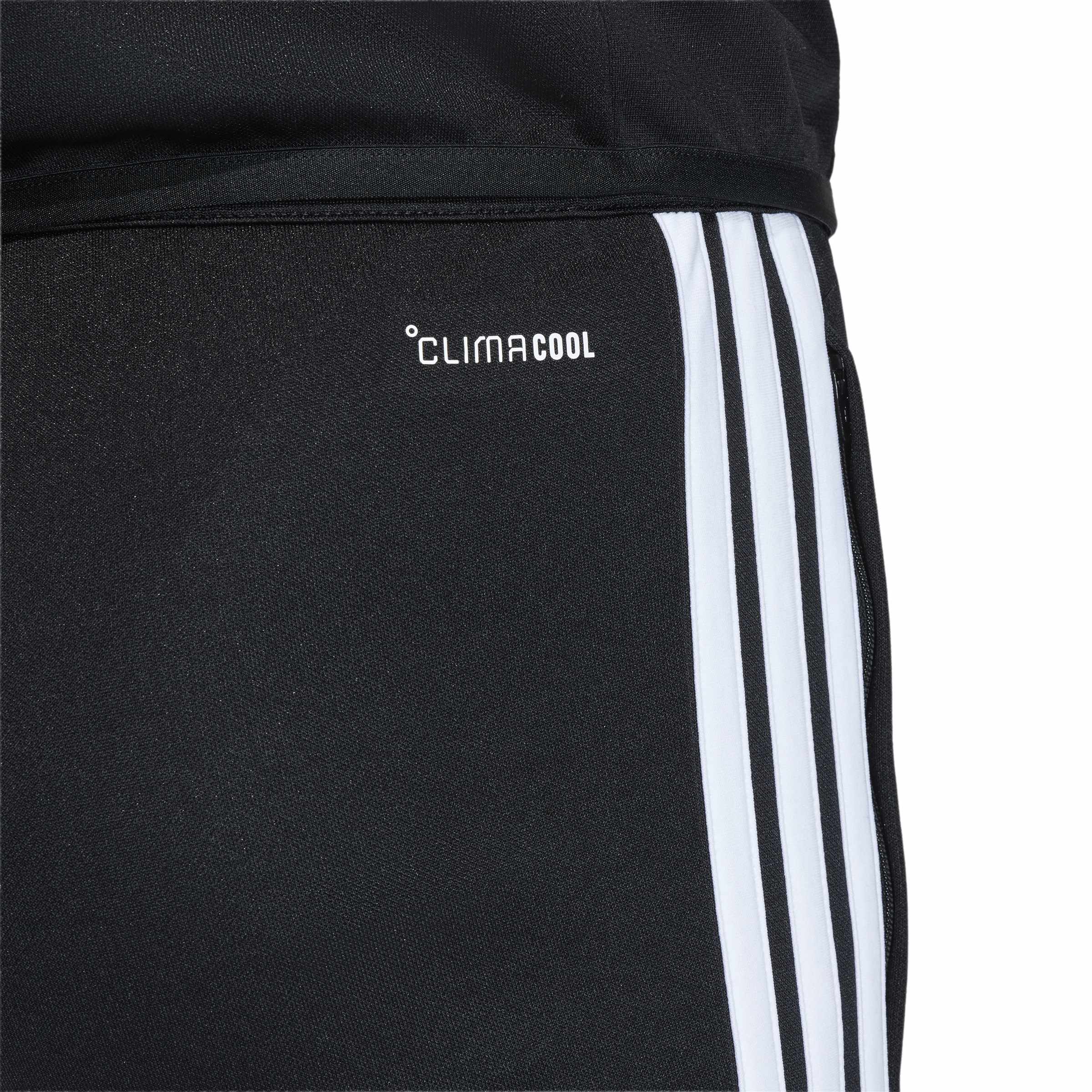 TIRO26L PNTR - 095A/BLACK/WHITE
