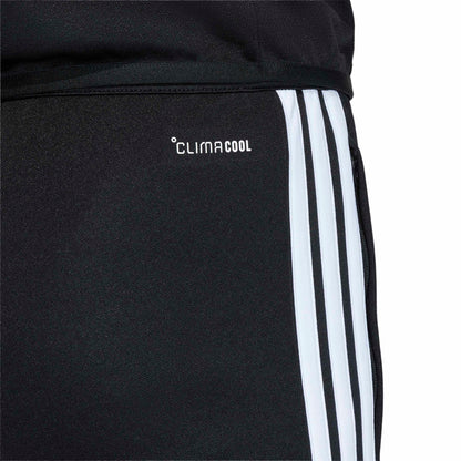TIRO26L PNTR - 095A/BLACK/WHITE