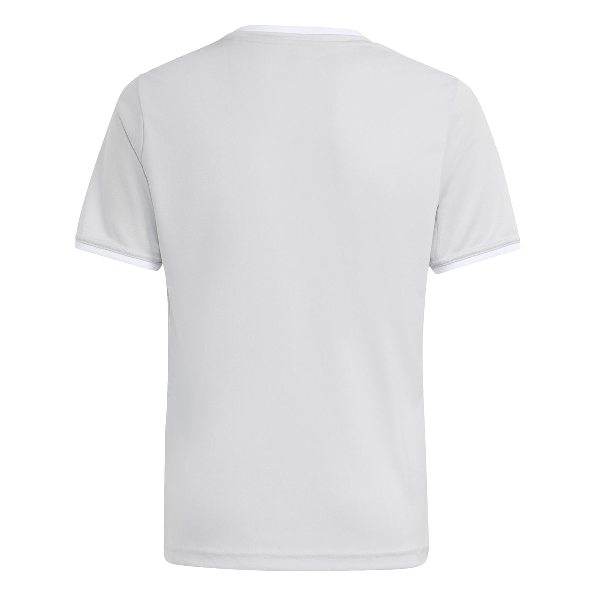 ENT26 JSY Y - ADFE/TMLGGR/WHITE