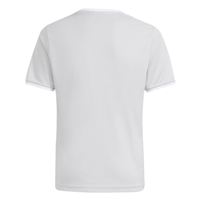 ENT26 JSY Y - ADFE/TMLGGR/WHITE