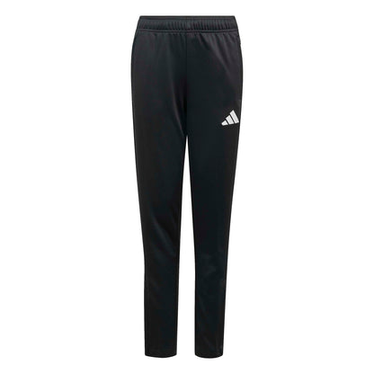 ENT26 TR PNT Y - 095A/BLACK/WHITE