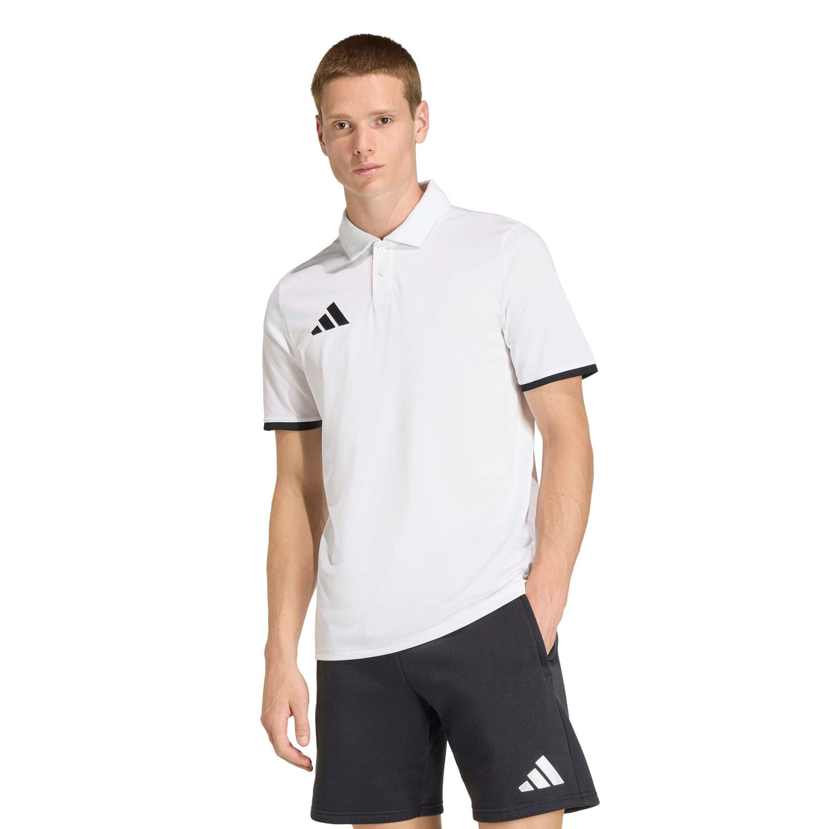 ENT26 POLO - 001A/WHITE/BLACK