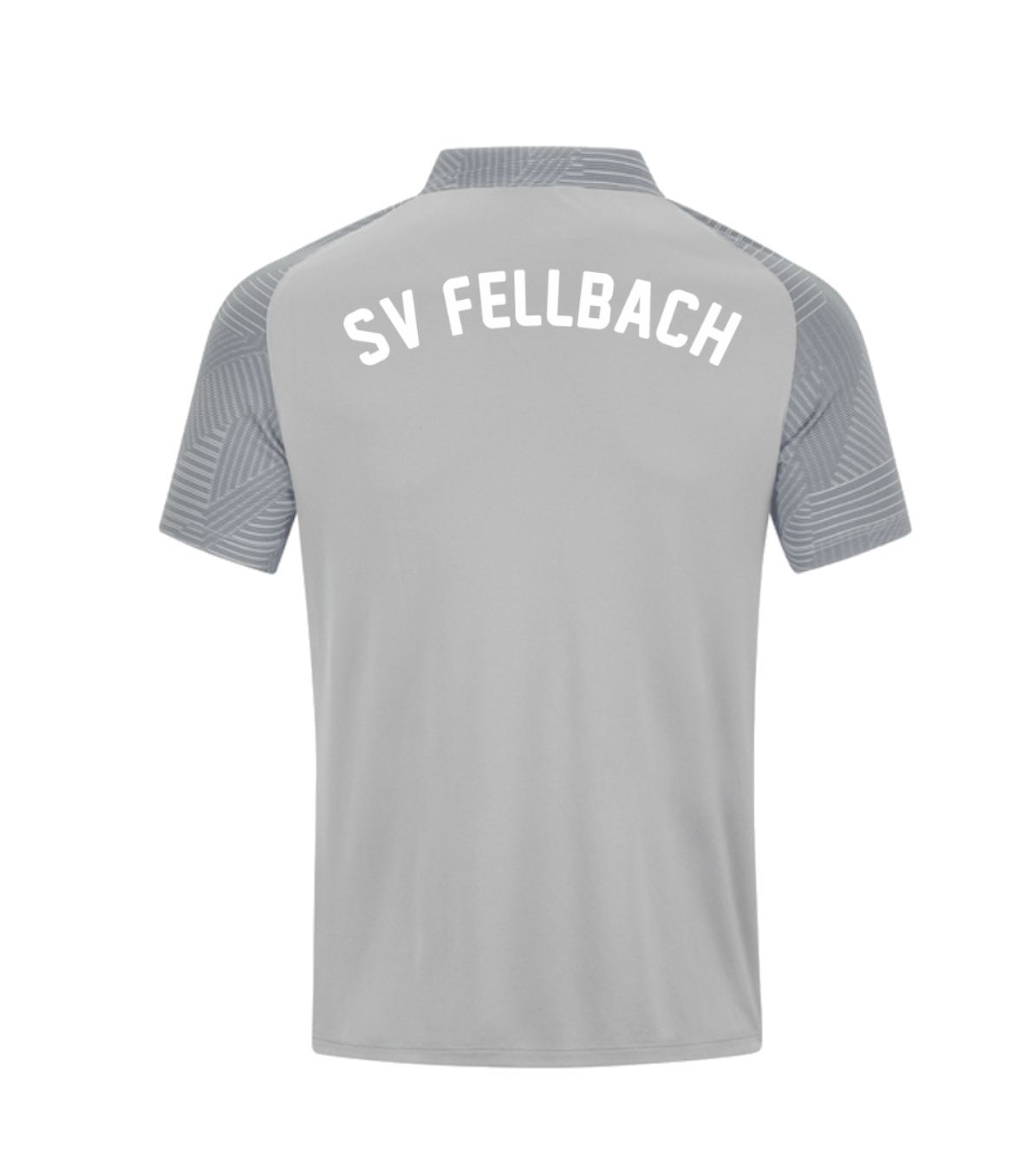 Polo Performance SV Fellbach Trainer