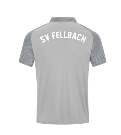 Polo Performance SV Fellbach Trainer