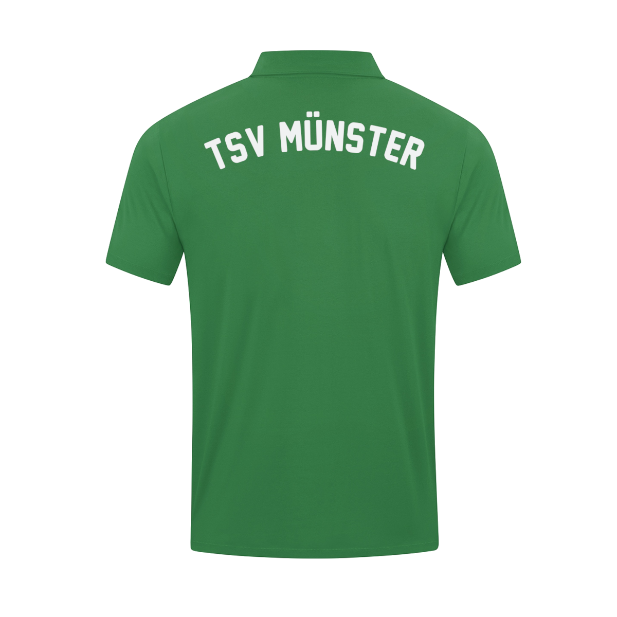 Polo TSV Münster Aktive