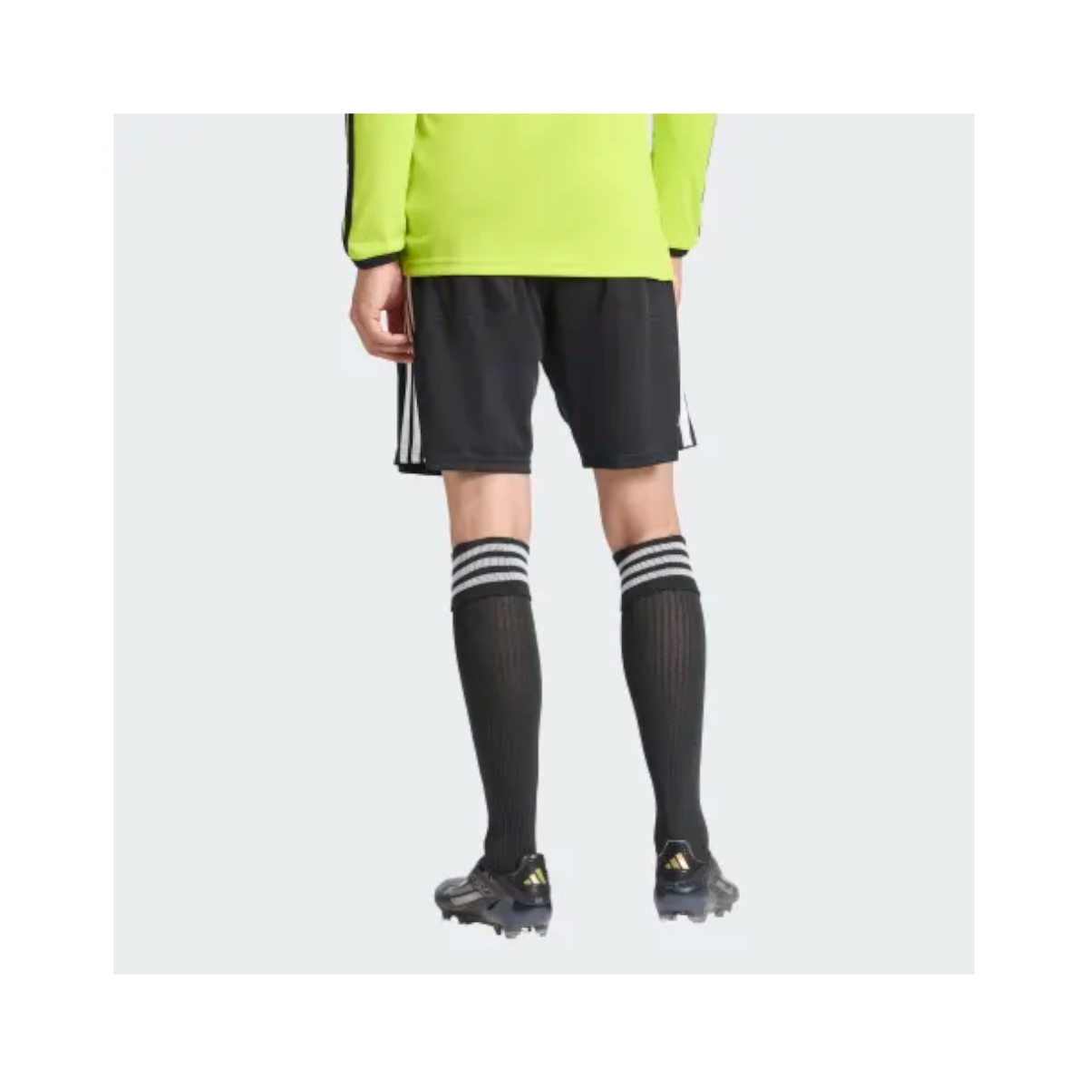 Referee 26 Shorts Schiedsrichtergruppe Backnang