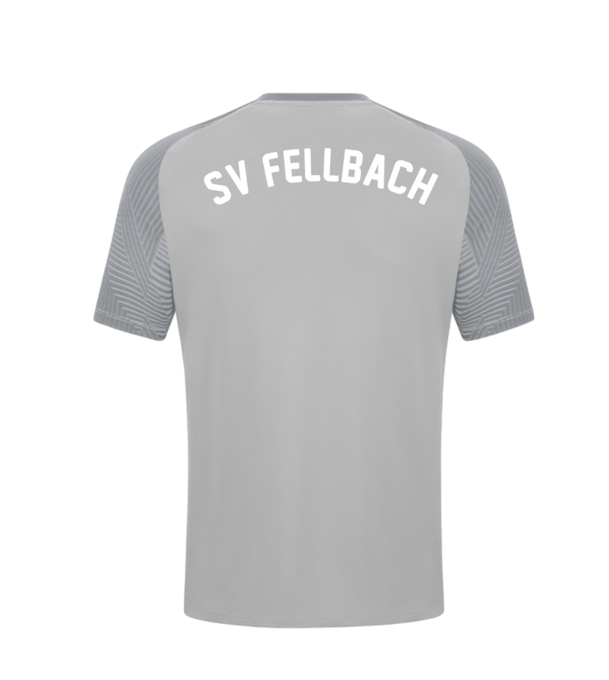 Performance T-Shirt Sv Fellbach Trainer