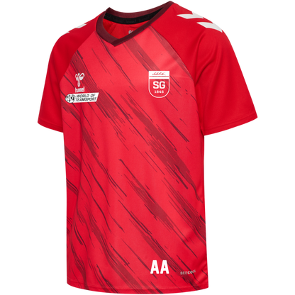 hmlMATCH TRIUMPH JERSEY SG Schorndorf Volleyball